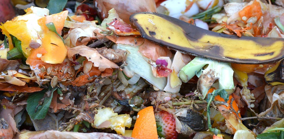 Writing Compost: from Garbage to Success